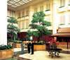 Shangri-La Hotel 